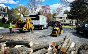 Best Tree and Shrub Care  in Shell Kno, MO